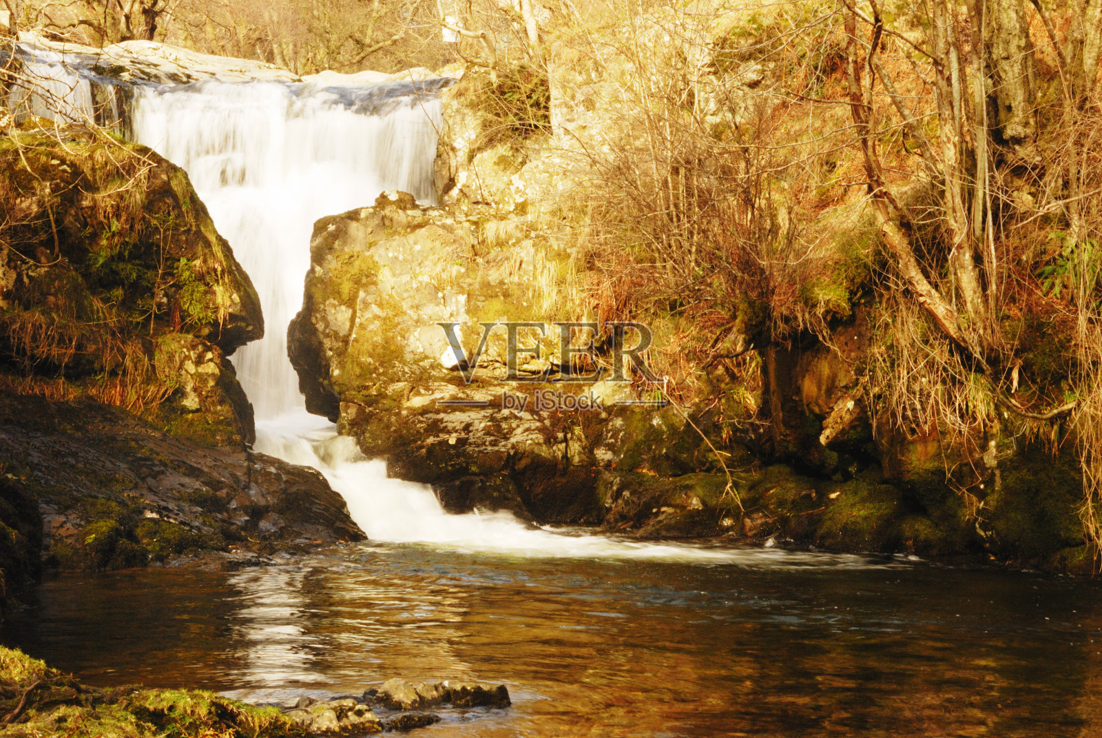 高力照片摄影图片