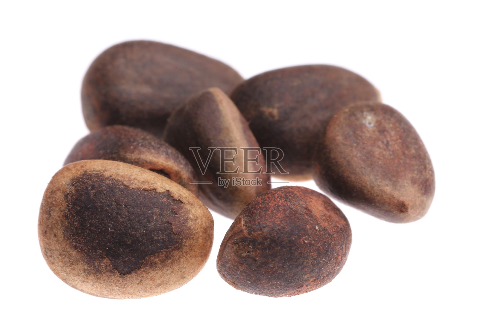 松子的特写。照片摄影图片