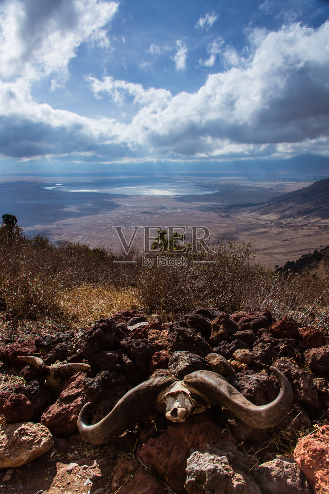 恩戈罗戈罗火山口的非洲视图照片摄影图片
