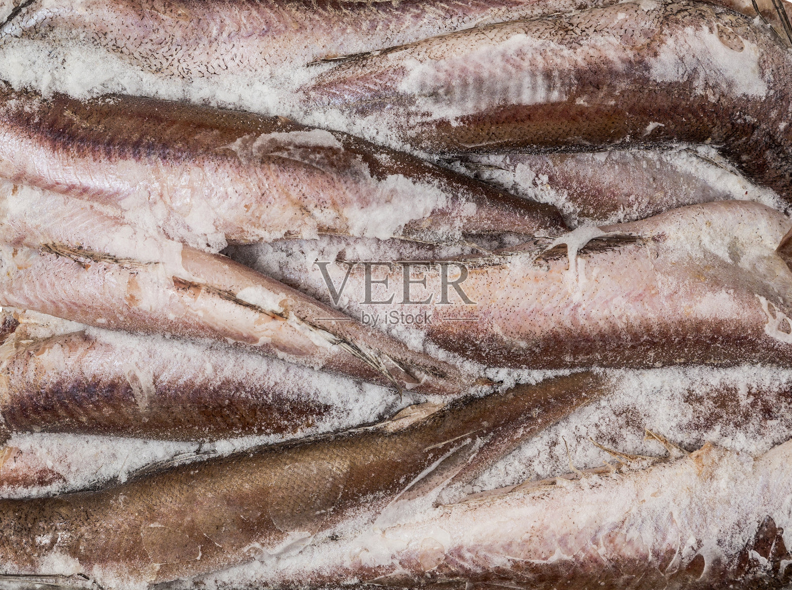 冷冻鱼尸体砖贸易和背景照片摄影图片