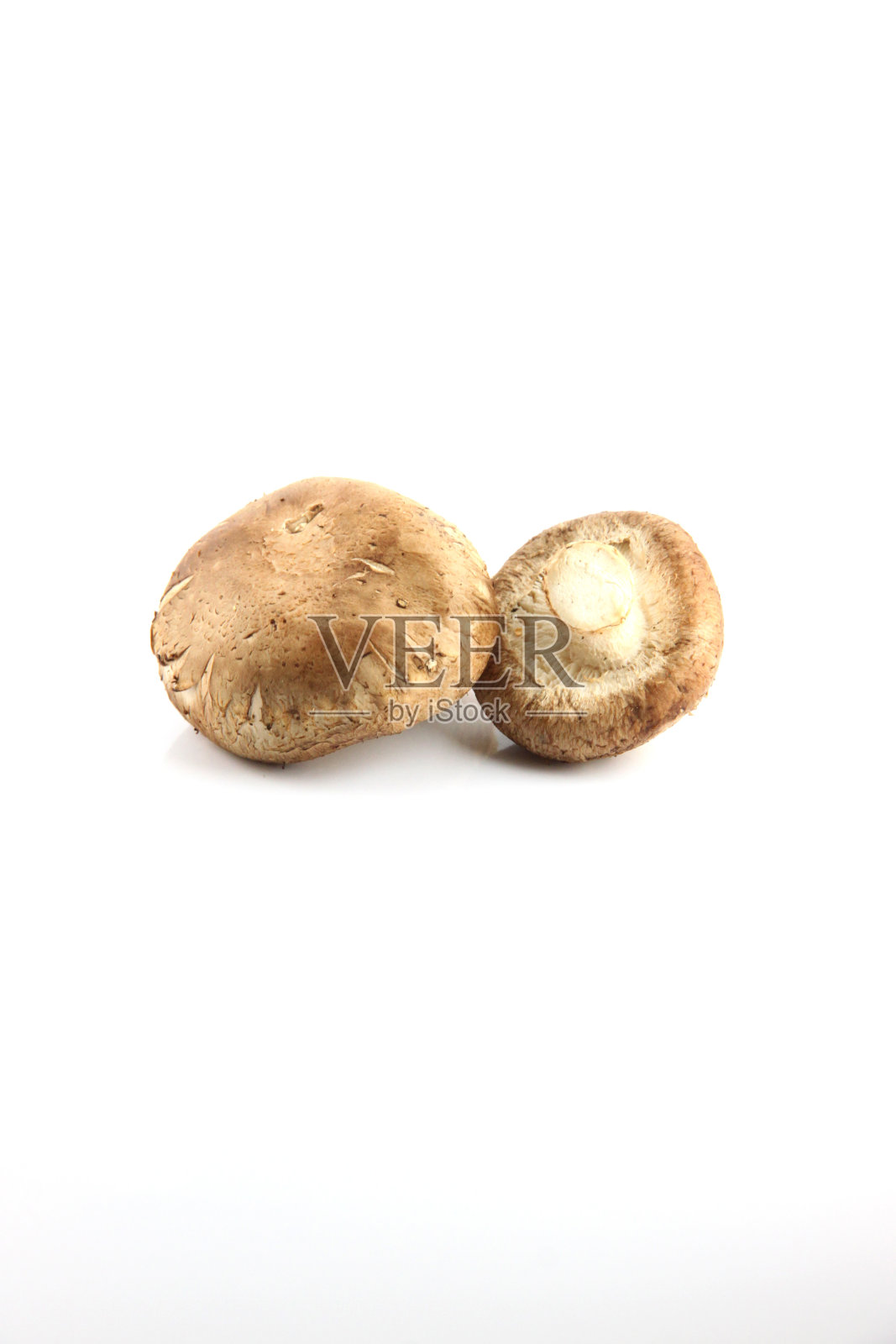 香菇。照片摄影图片