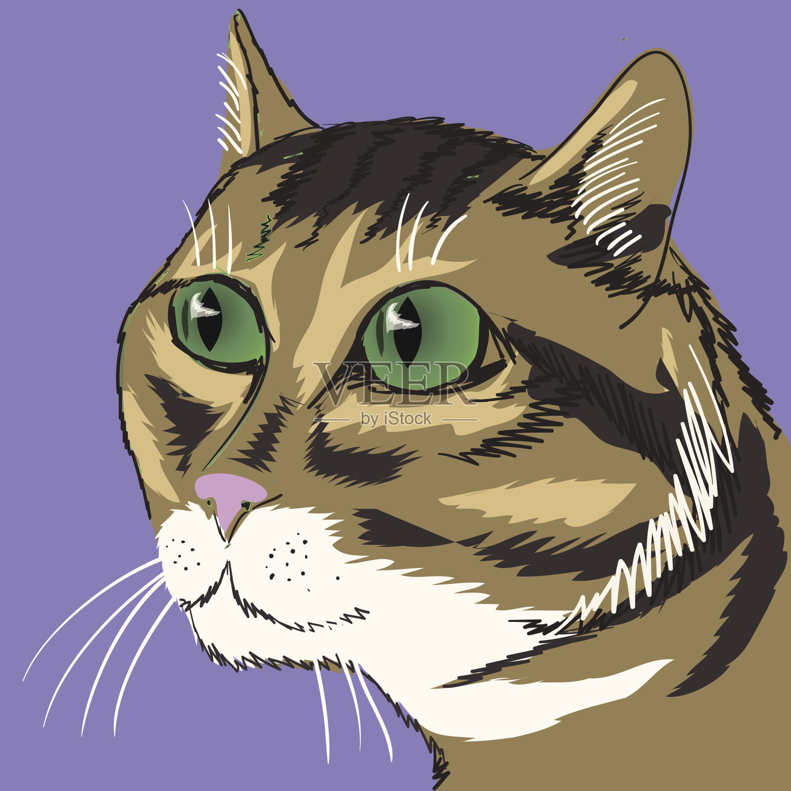 猫插画图片素材