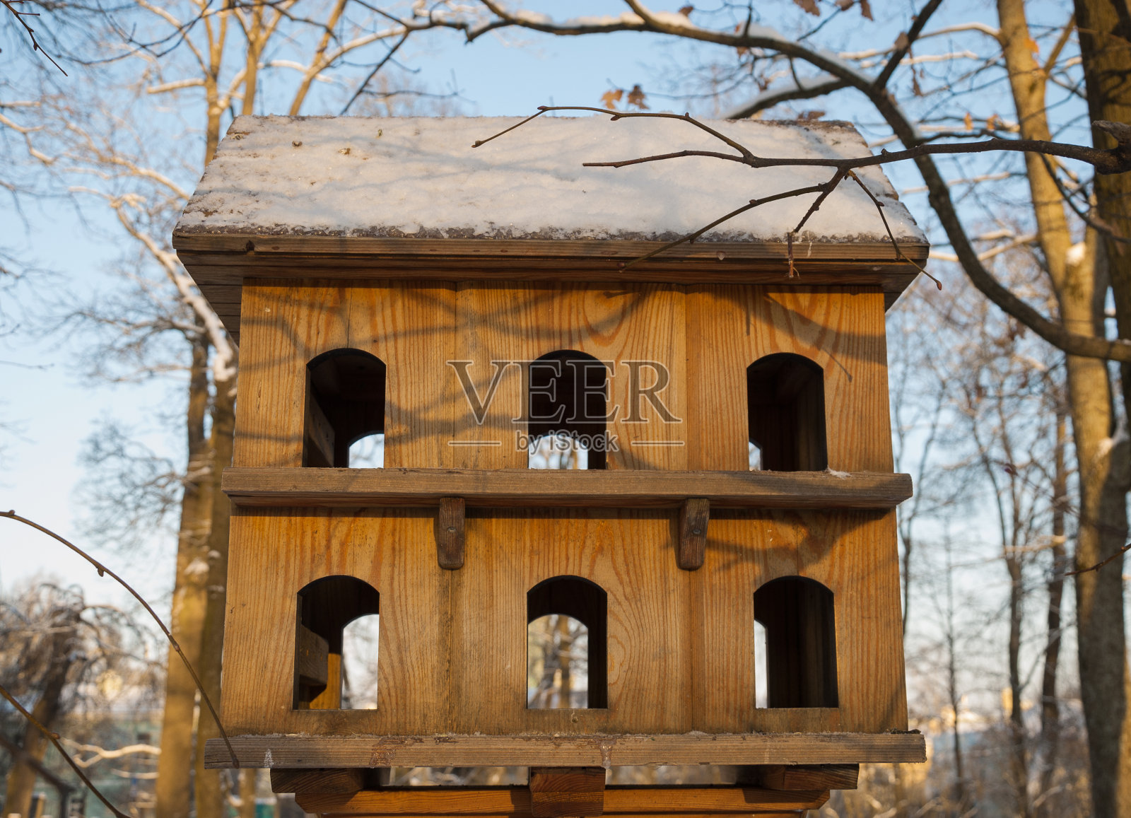 房子的鸟类照片摄影图片