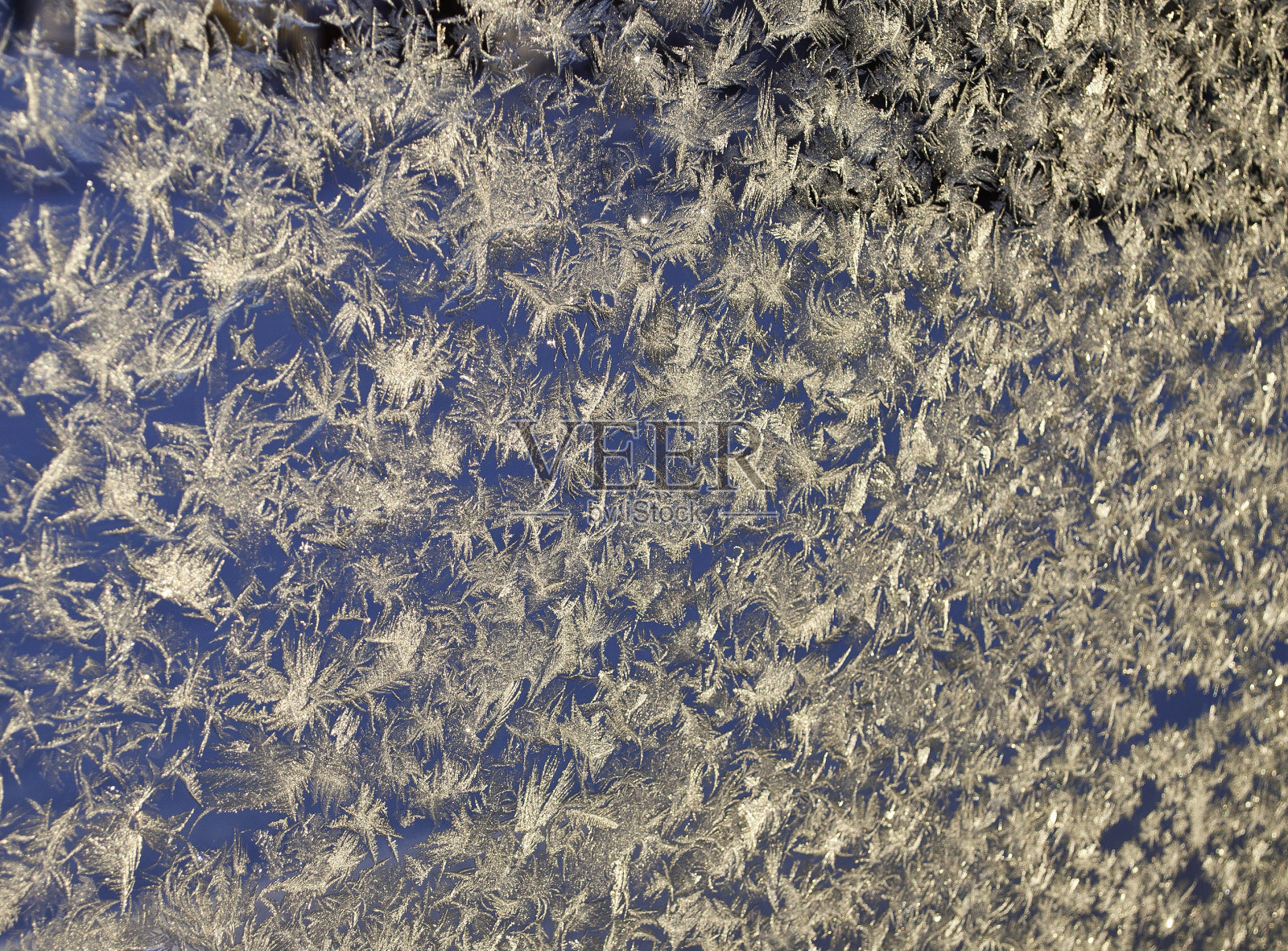 冬天的背景照片摄影图片