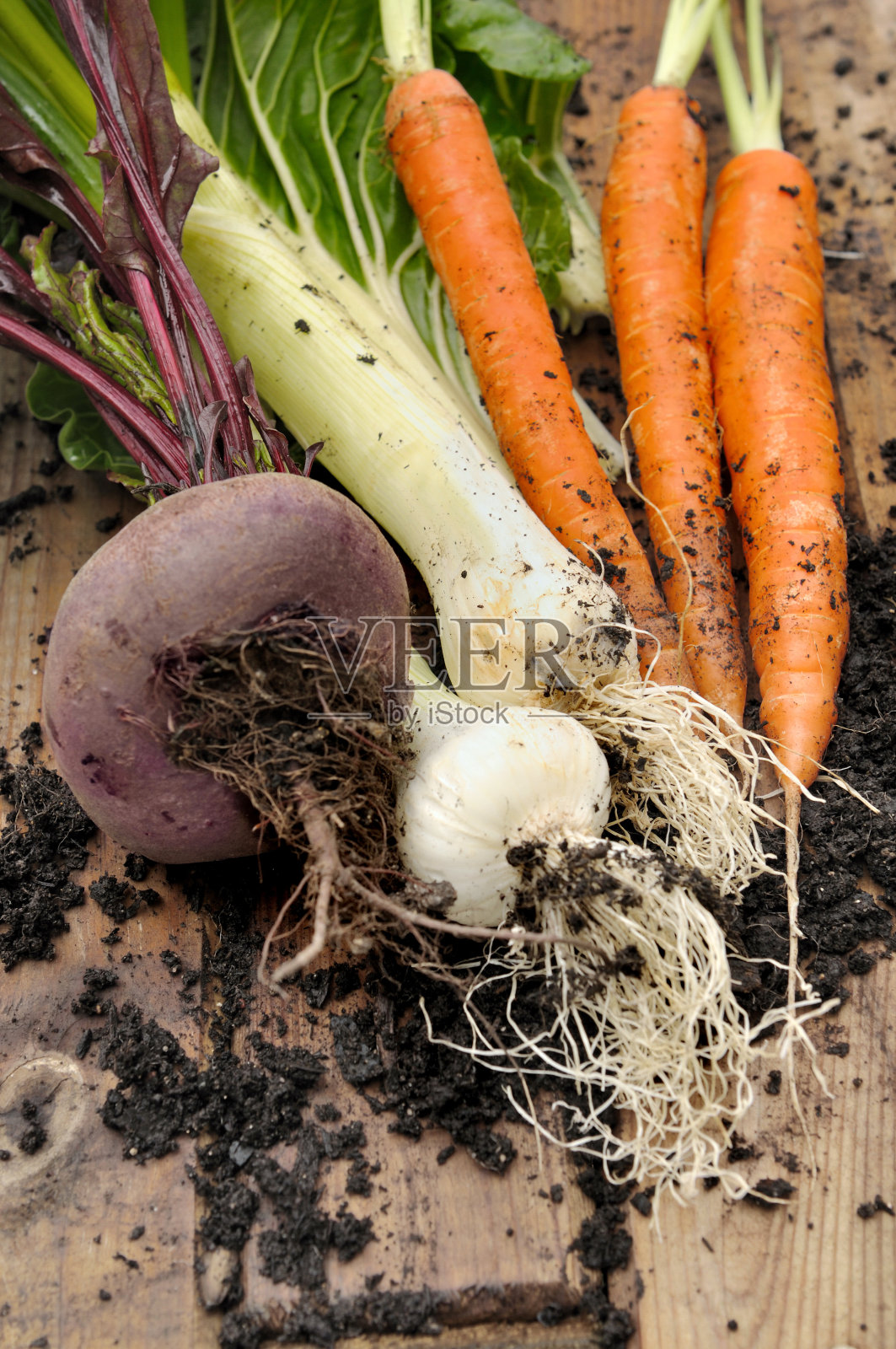 收获的蔬菜照片摄影图片