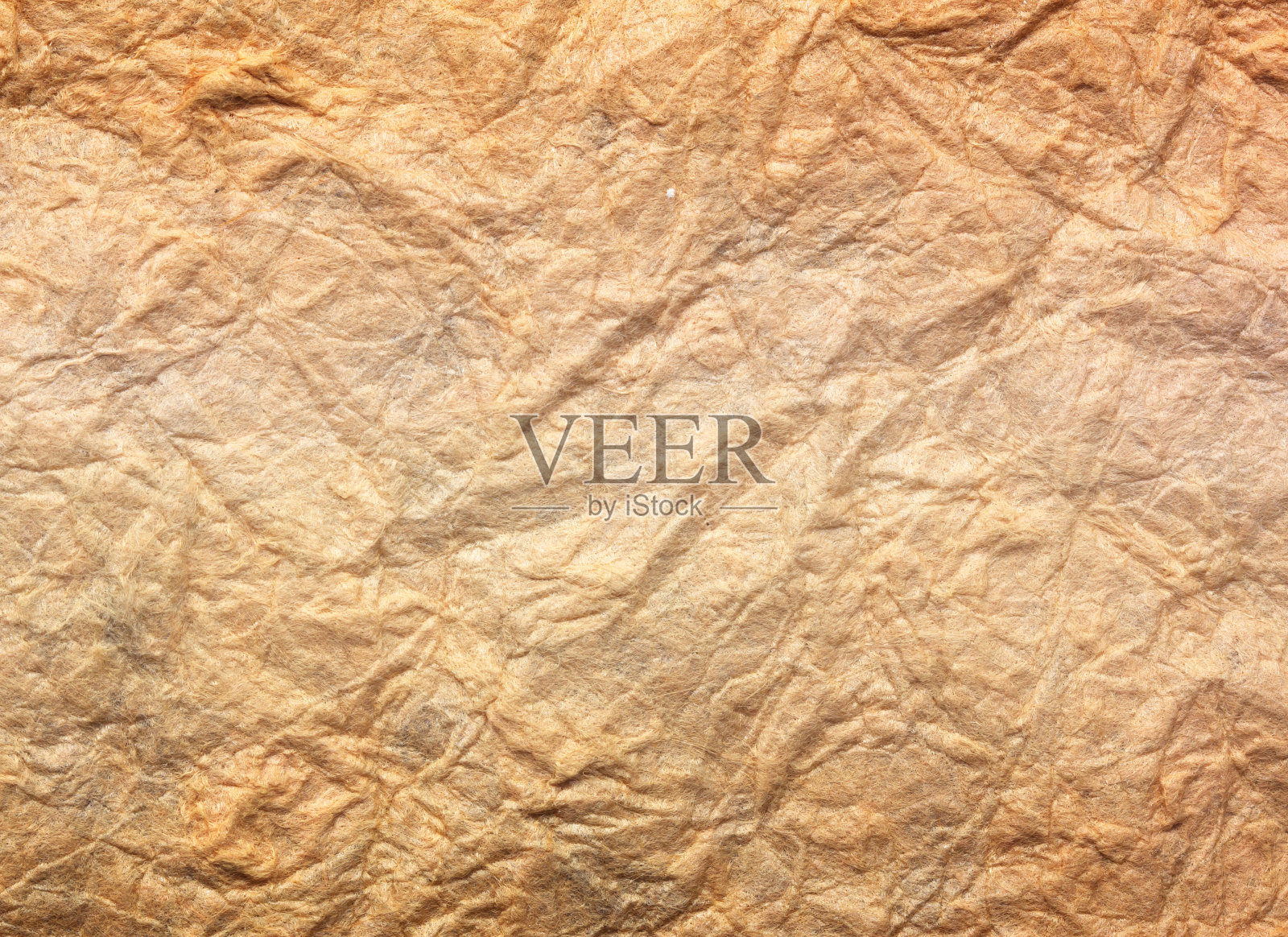 纸张照片摄影图片