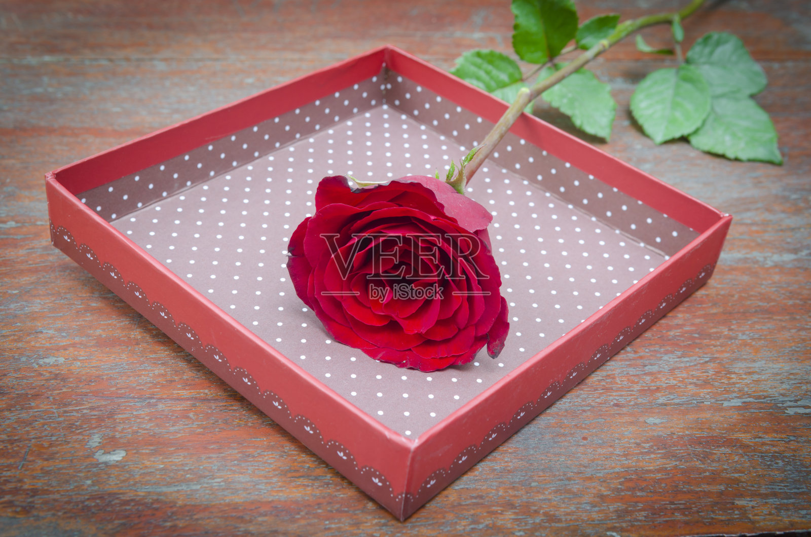 情人节的玫瑰和礼物。照片摄影图片