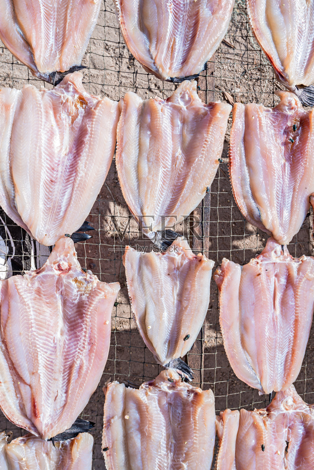 太阳鱼生食照片摄影图片