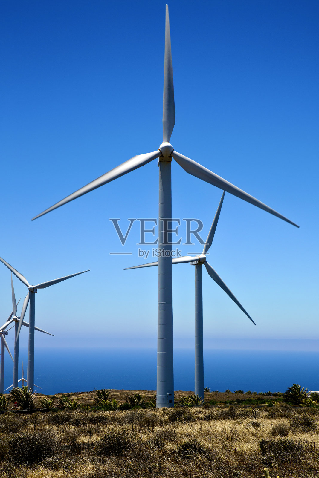 非洲风力涡轮机天空兰萨罗特西班牙照片摄影图片