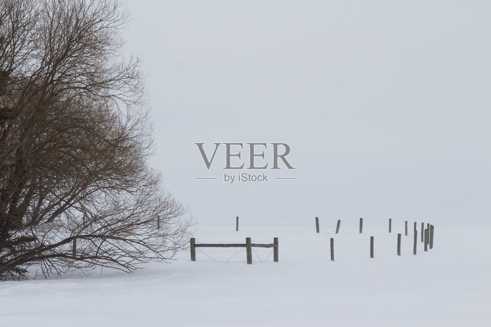 弯曲的栅栏照片摄影图片