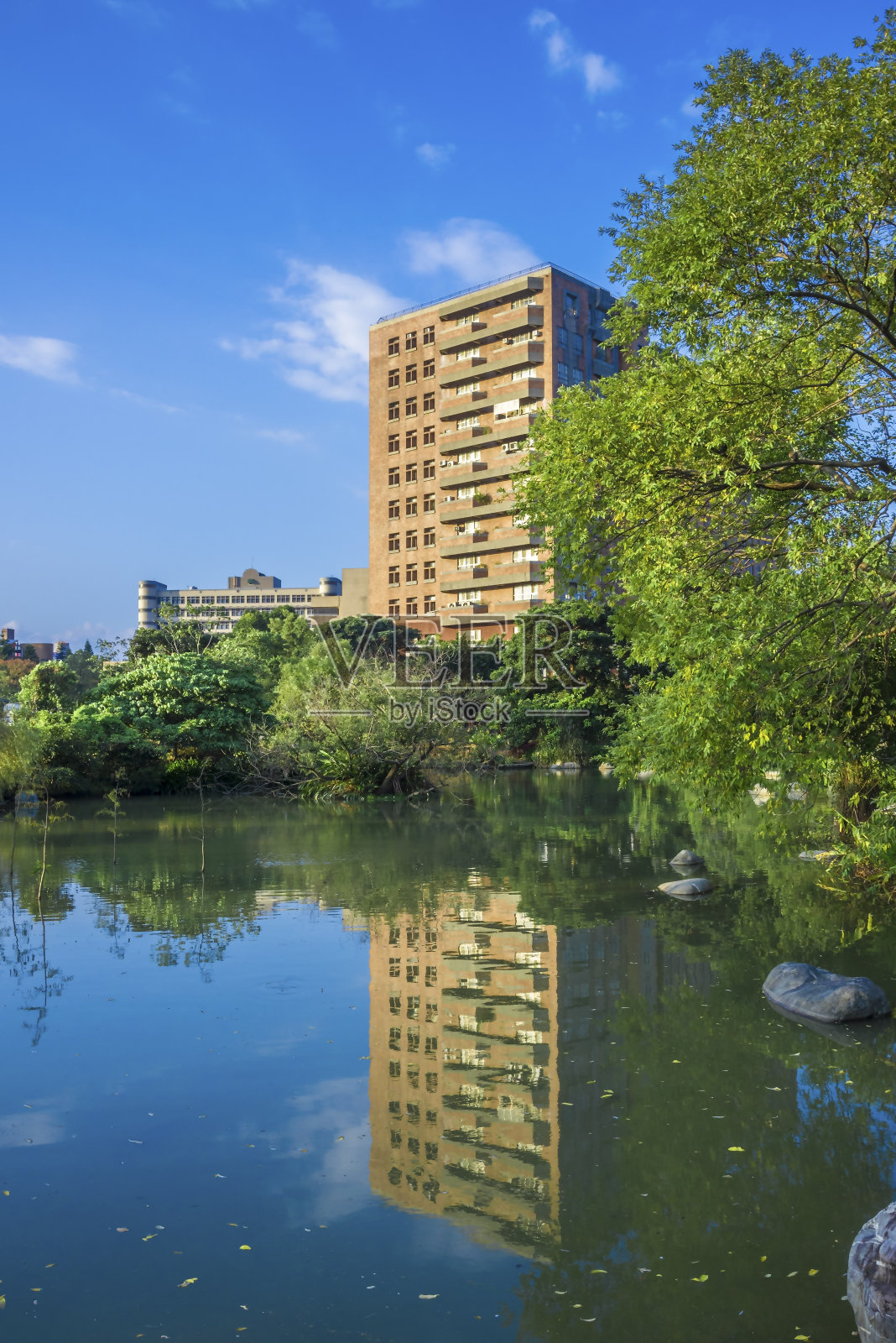 南大生物科技大厦的倒影照片摄影图片