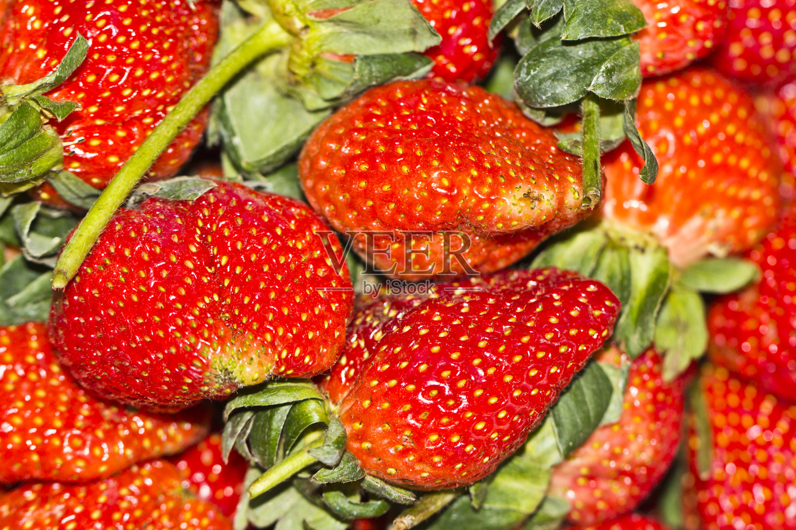 水果照片摄影图片