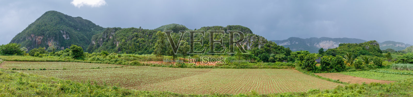 古巴比纳莱斯的乡村景观照片摄影图片