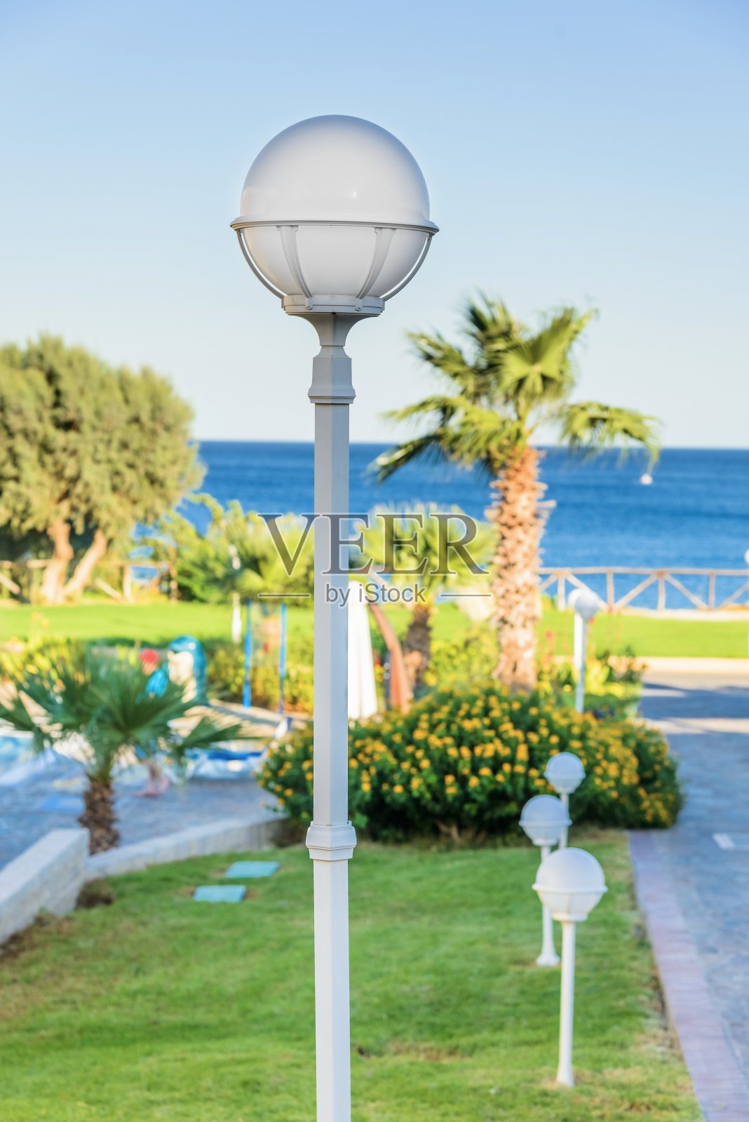 花园里的灯笼照片摄影图片