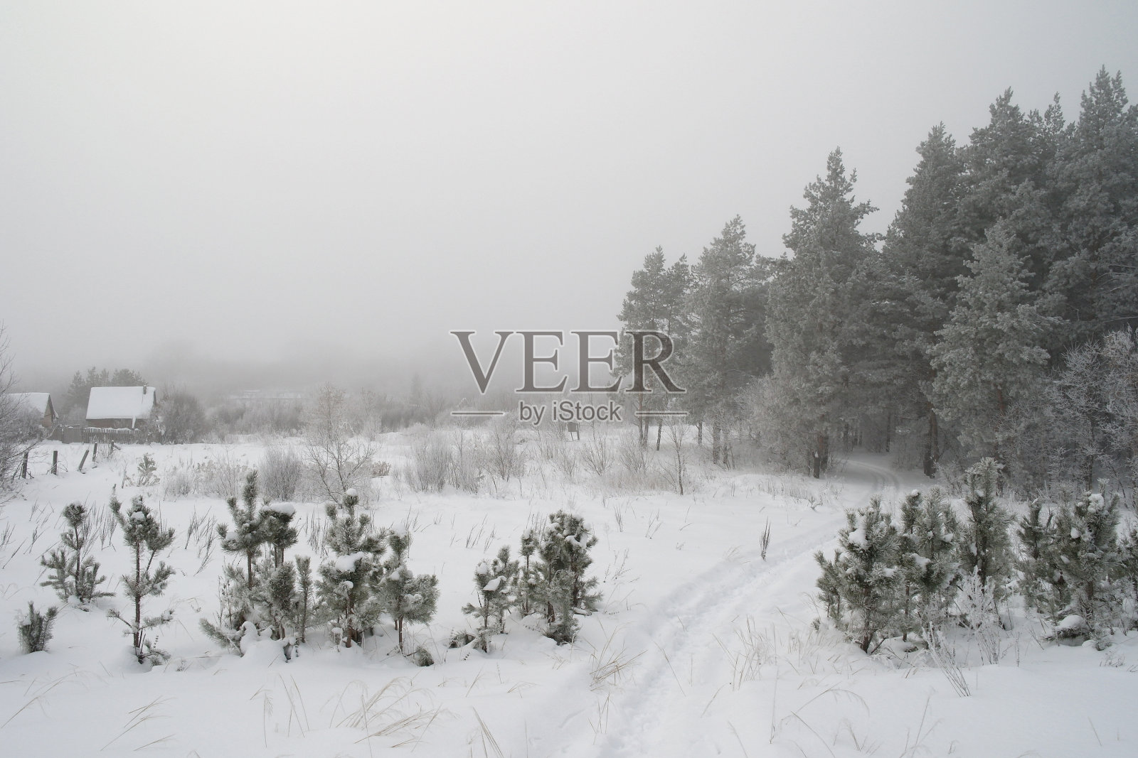 农村雾蒙蒙的景观照片摄影图片