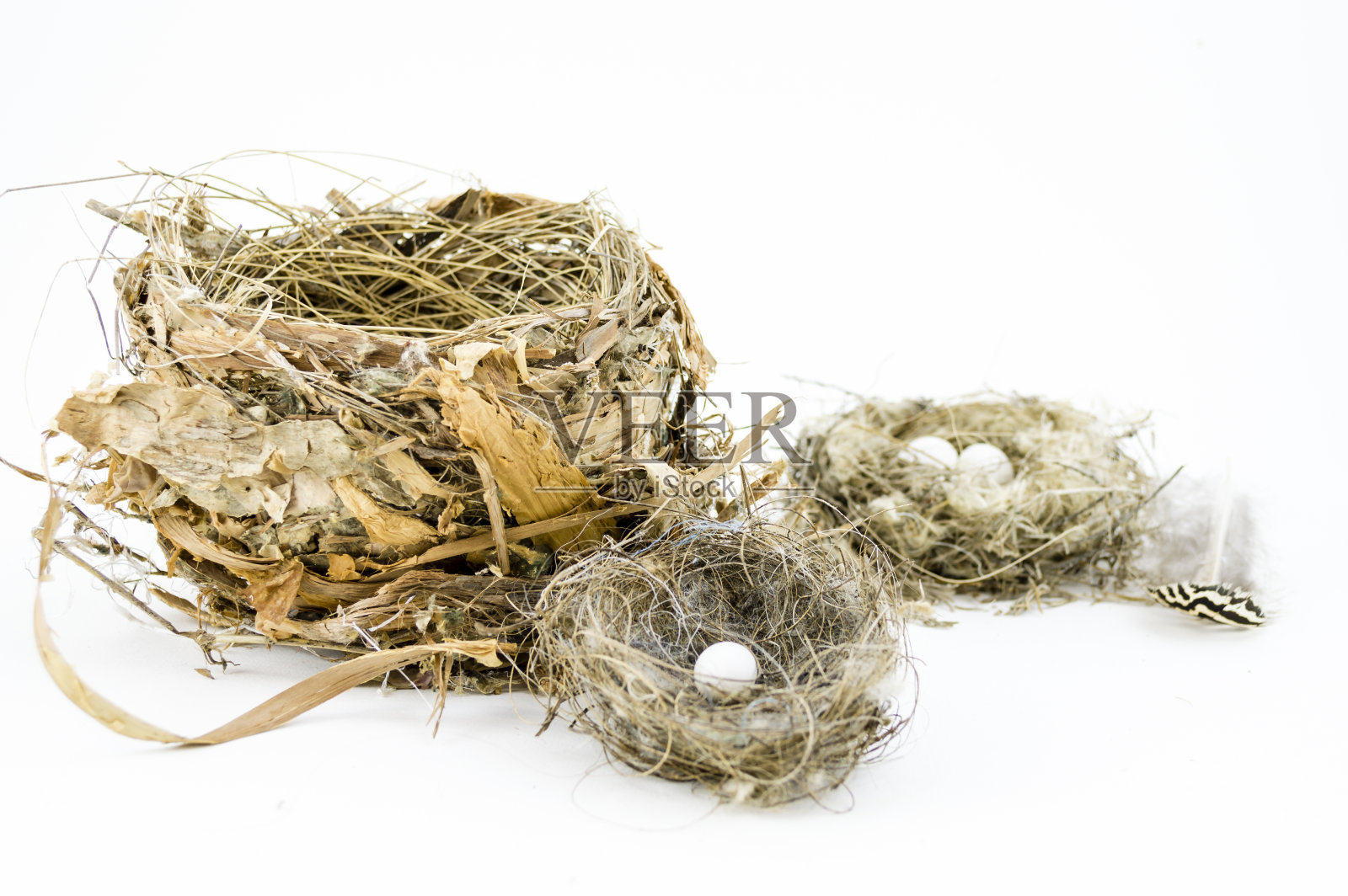 三个有蛋和羽毛的鸟巢。照片摄影图片