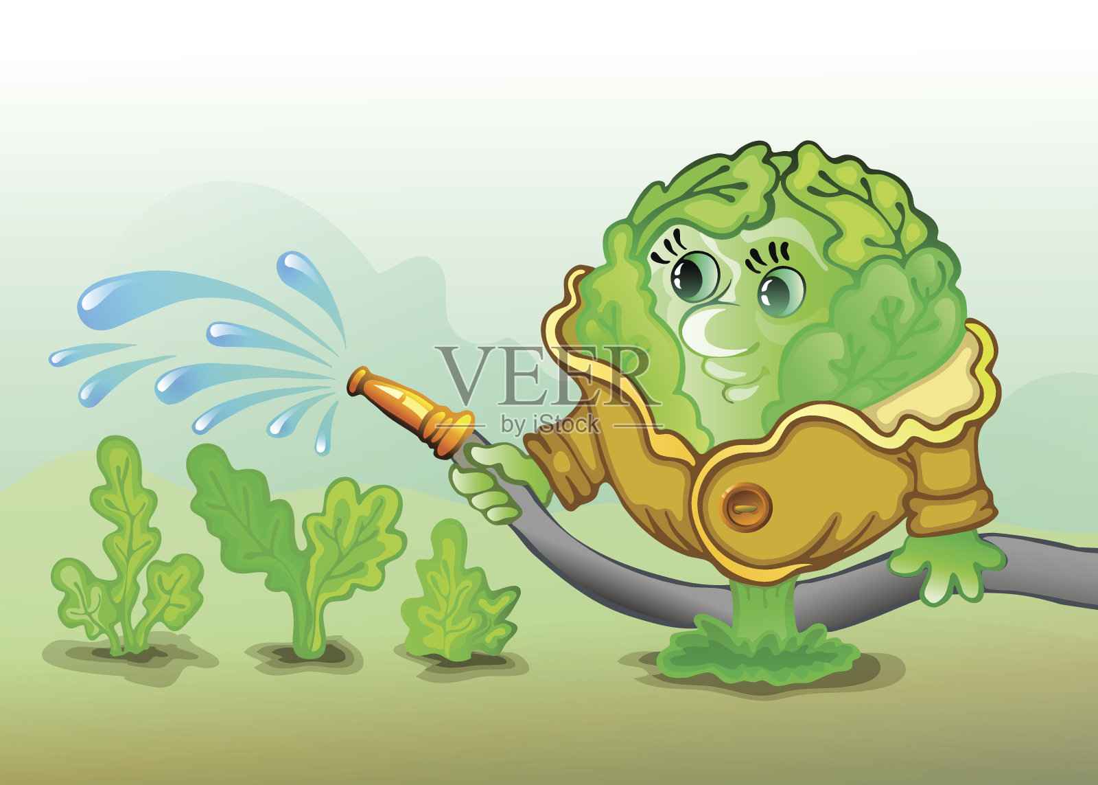 卷心菜插画图片素材