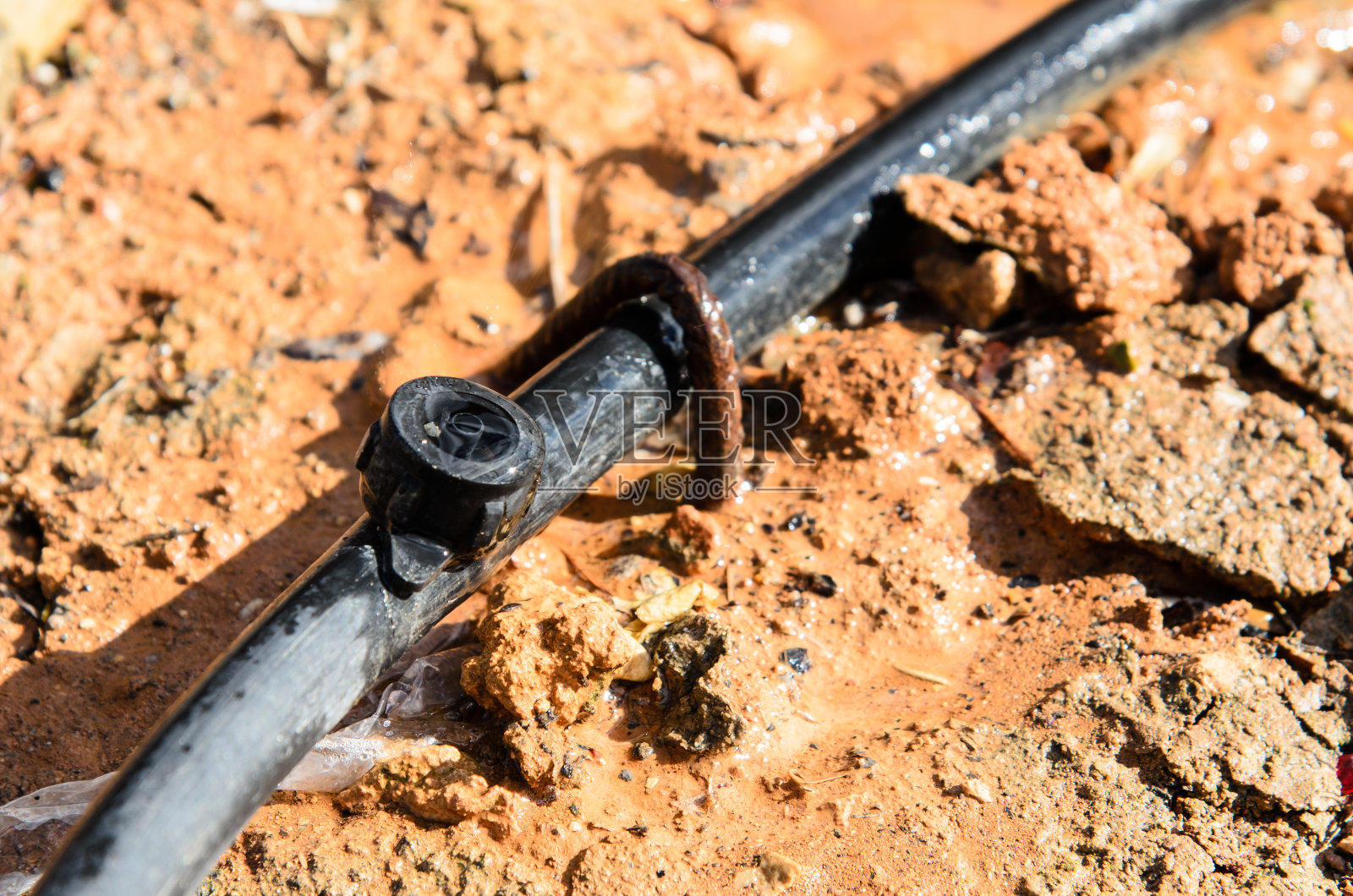 戈特罗照片摄影图片