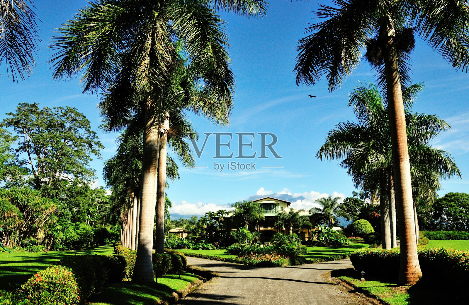 Dir路入口,家在天堂照片摄影图片