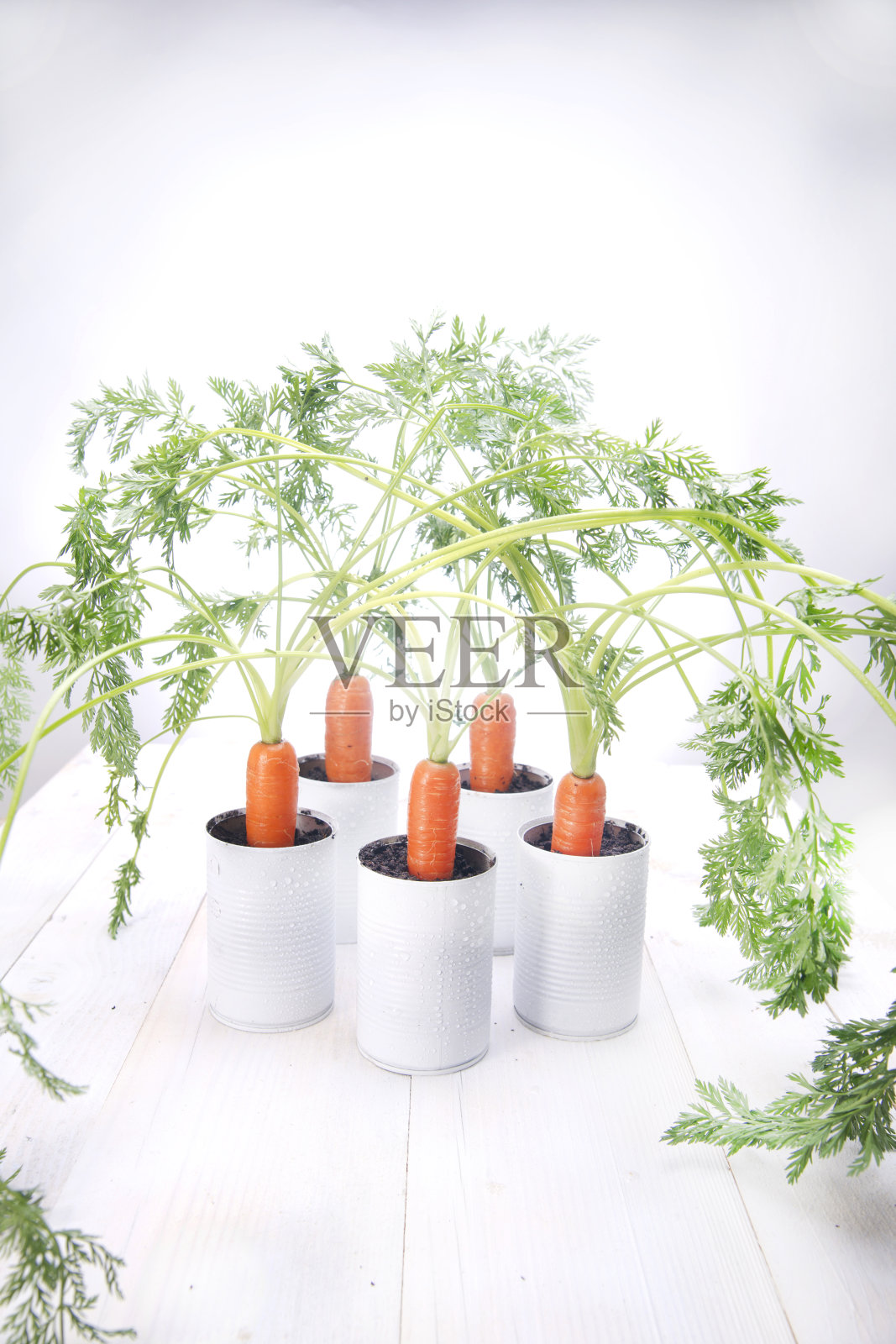 新鲜的胡萝卜照片摄影图片