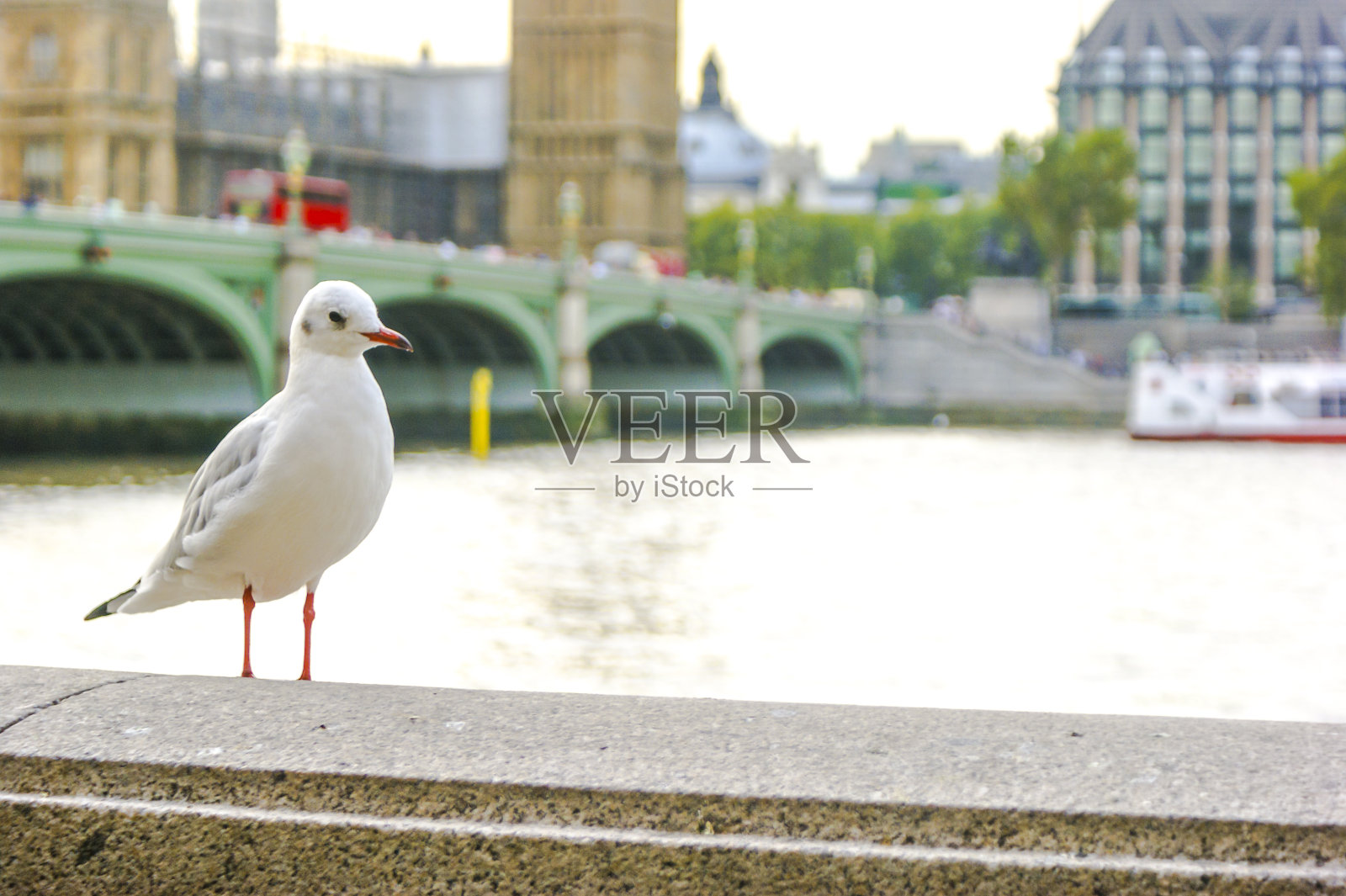 伦敦的建筑照片摄影图片