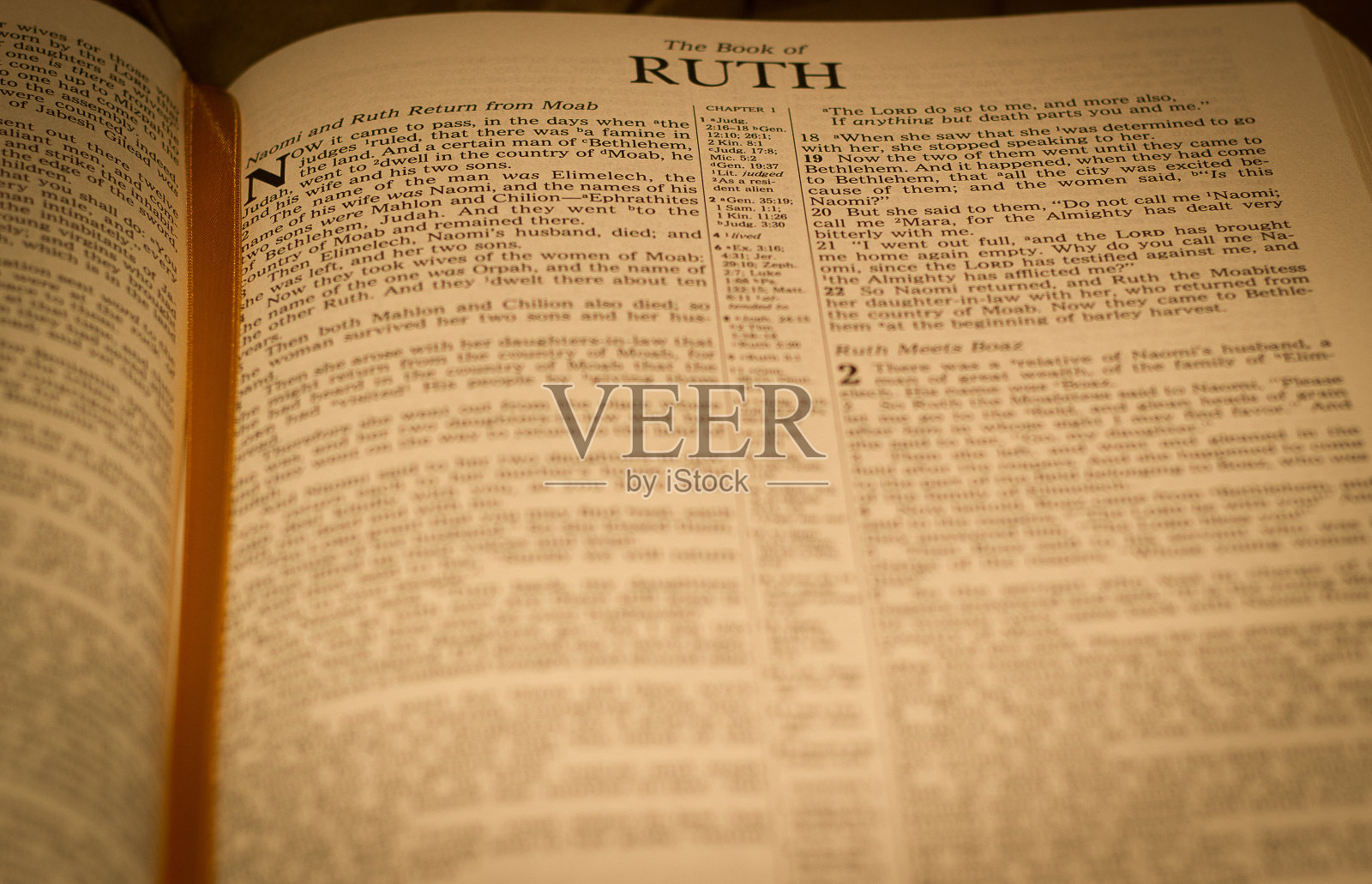 露丝照片摄影图片