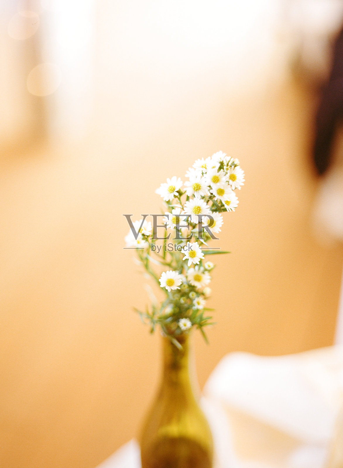 瓶子里的花照片摄影图片