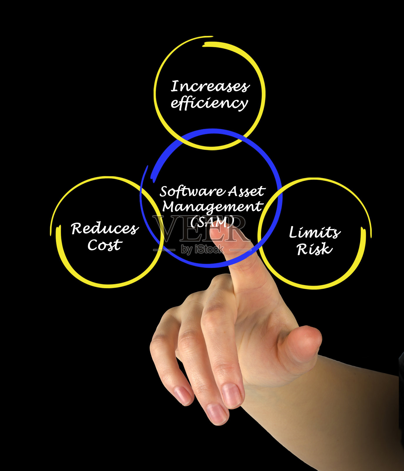 软件资产管理照片摄影图片