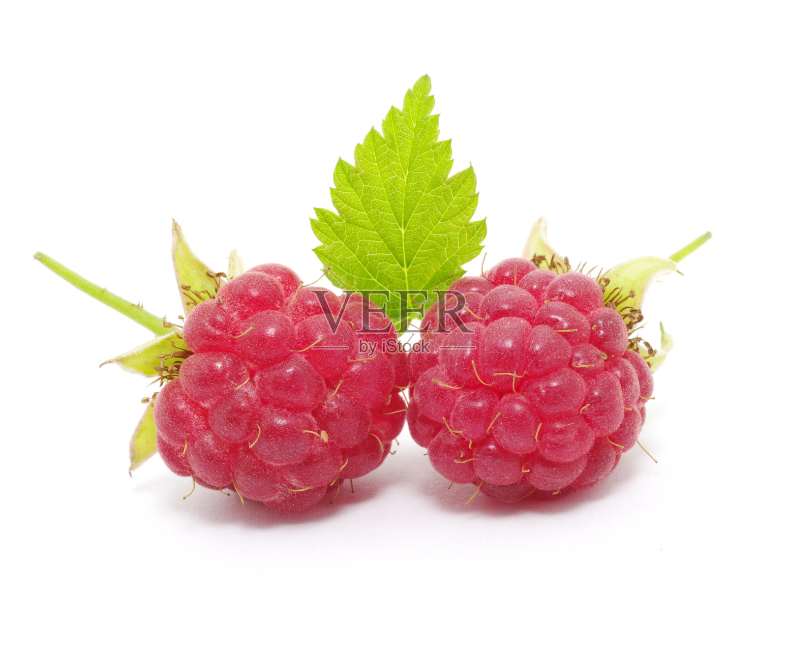 树莓照片摄影图片