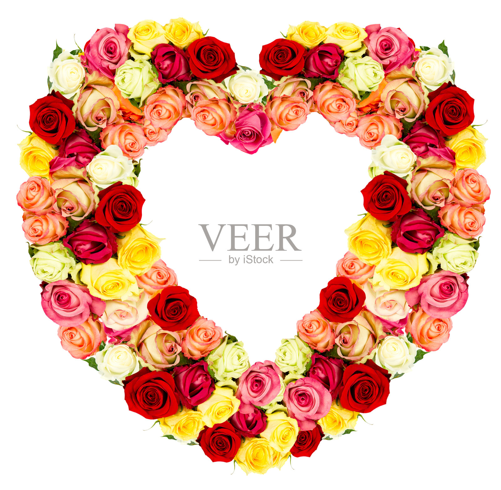 玫瑰花型心孤立在白色照片摄影图片