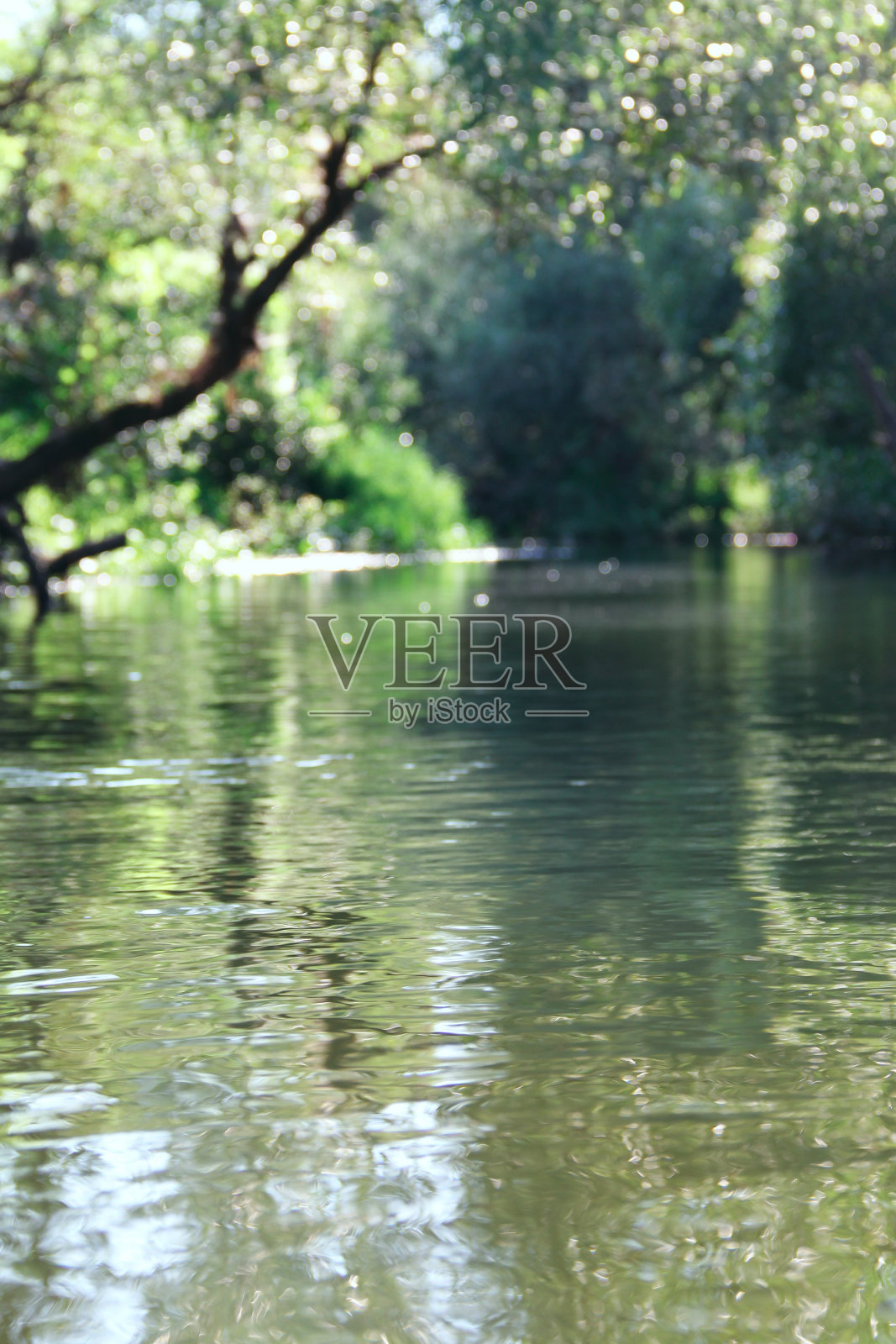 河森林场景照片摄影图片