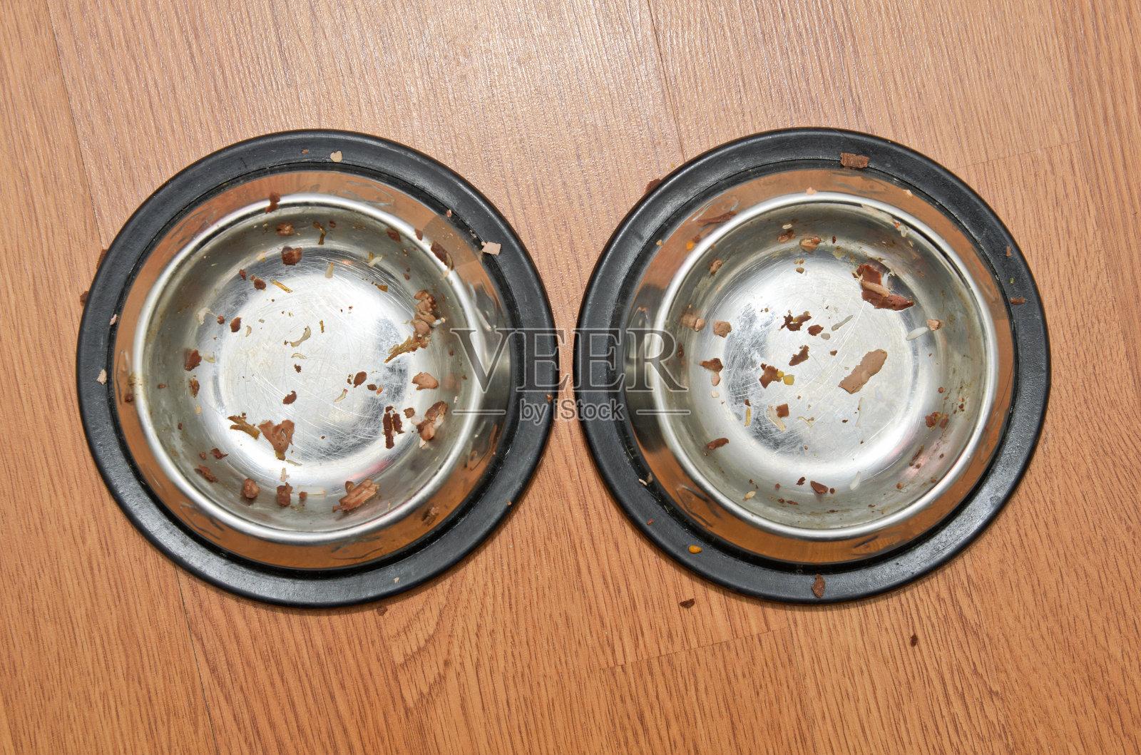 猫吃完后空碗照片摄影图片