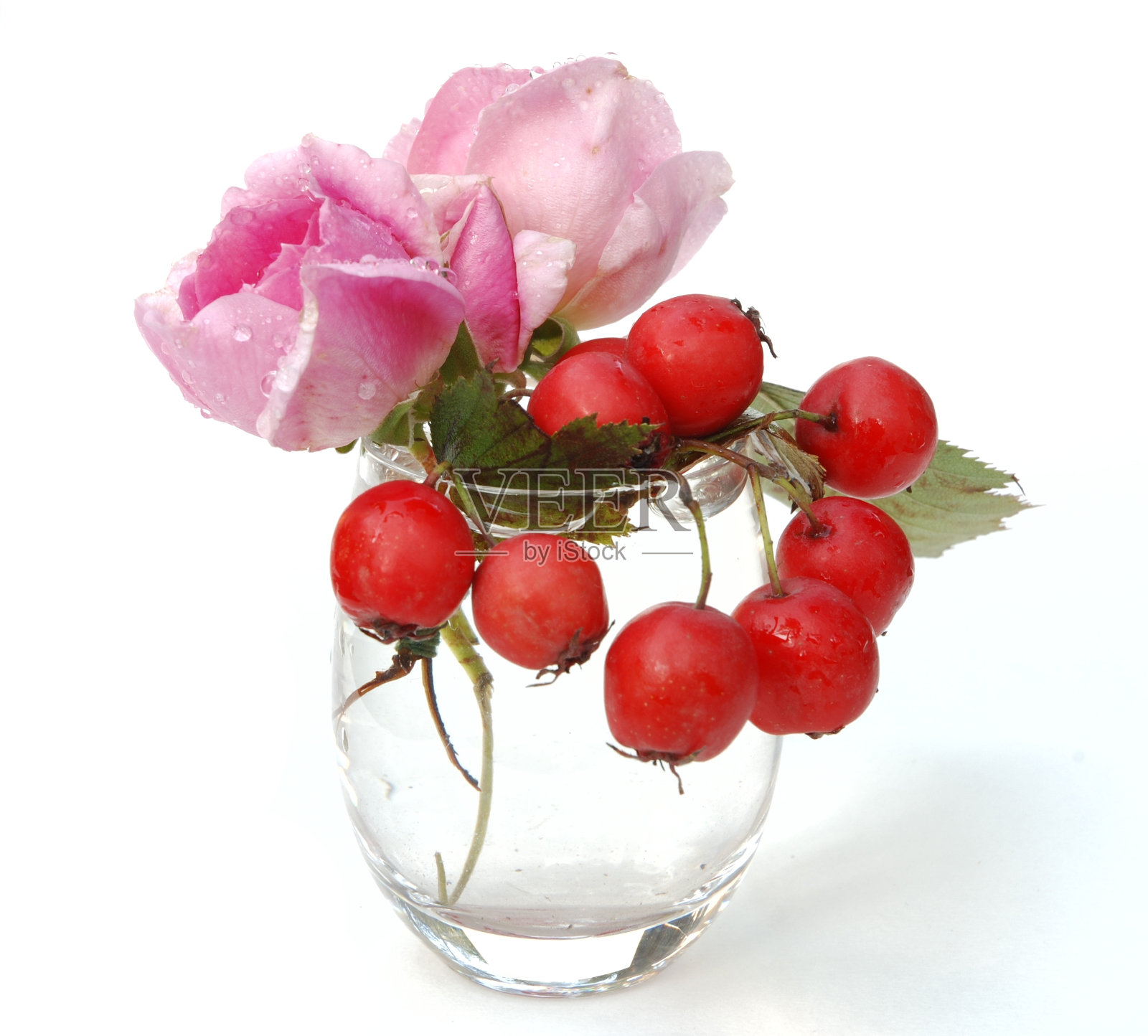 粉红玫瑰和红色浆果孤立在白色上照片摄影图片