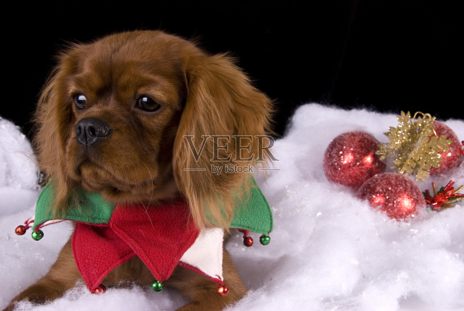 圣诞节的骑士照片摄影图片