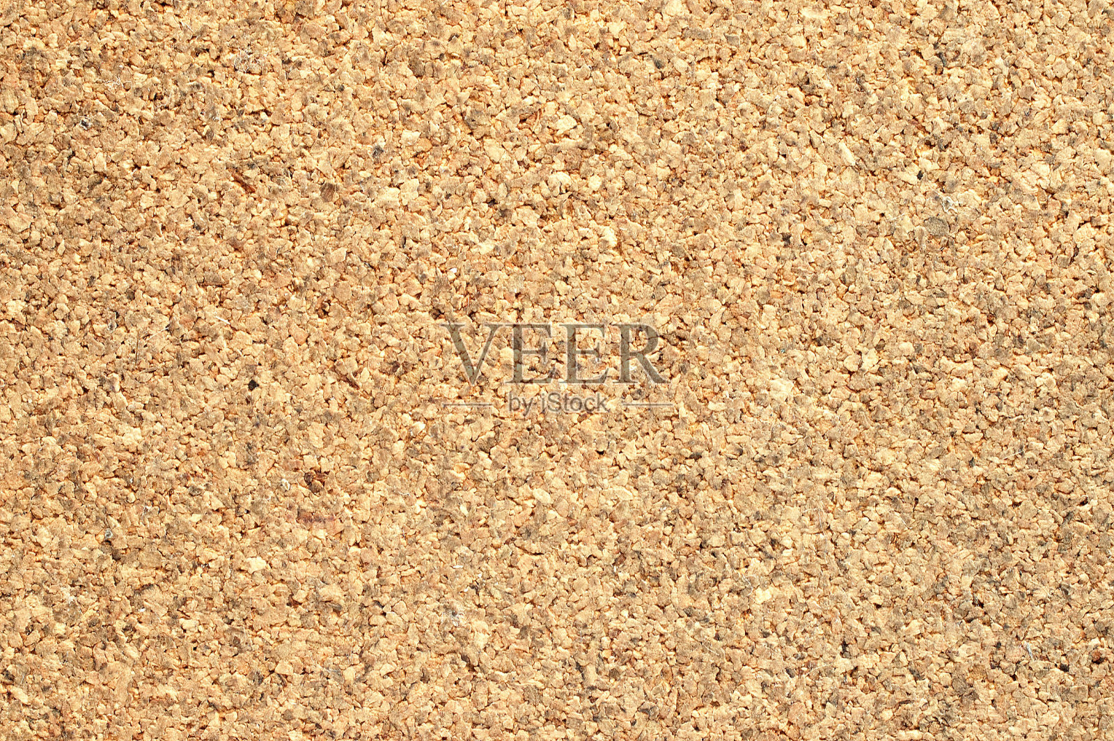 木髓树的纹理照片摄影图片