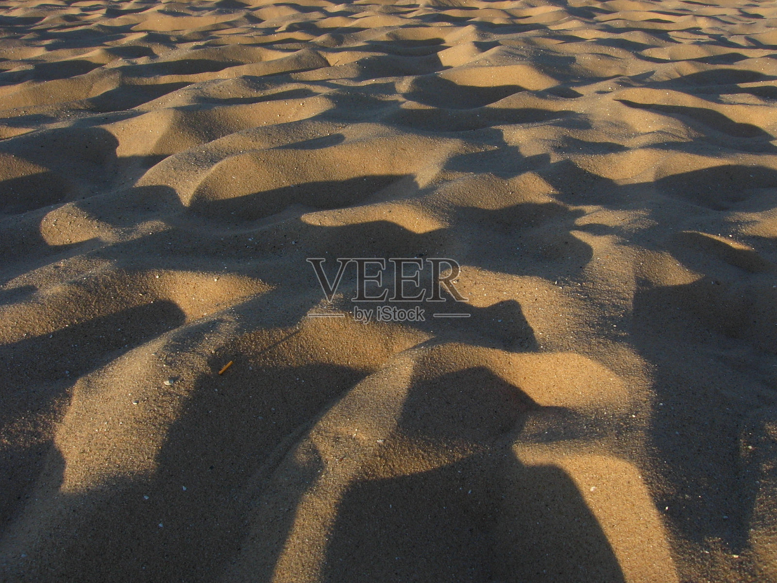 跟踪沙丘砂照片摄影图片