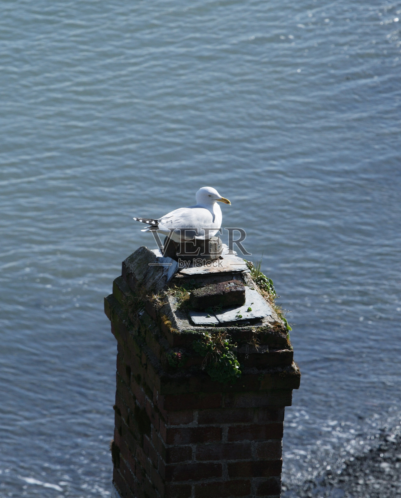 隐居照片摄影图片