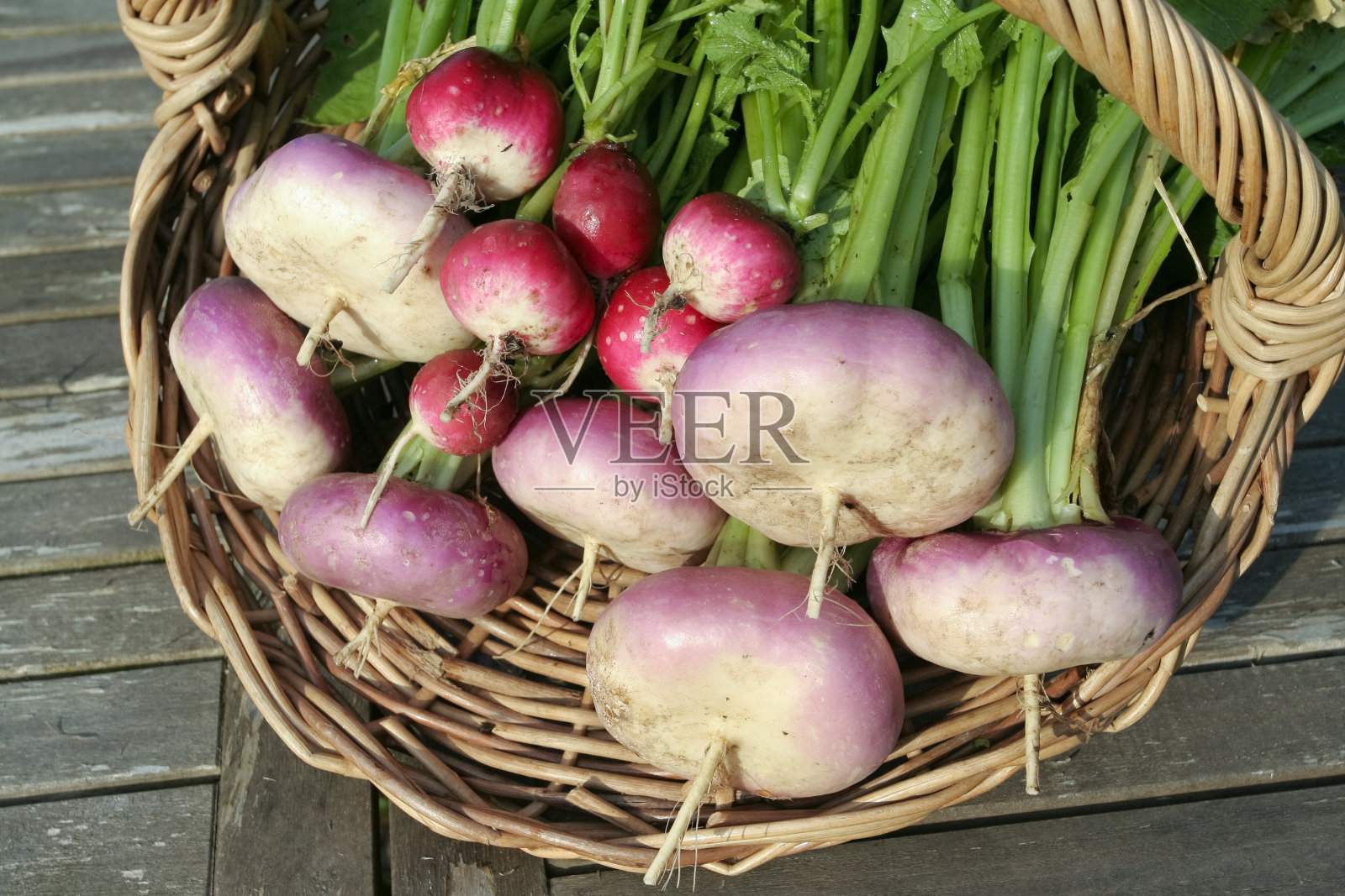 篮上根菜照片摄影图片