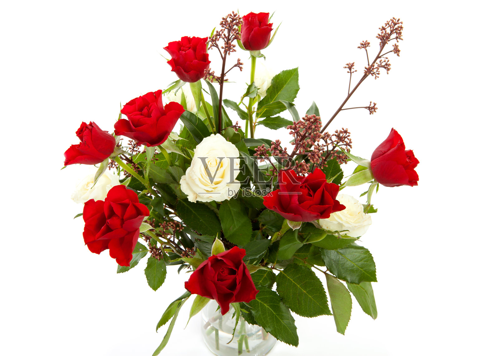 束鲜花照片摄影图片