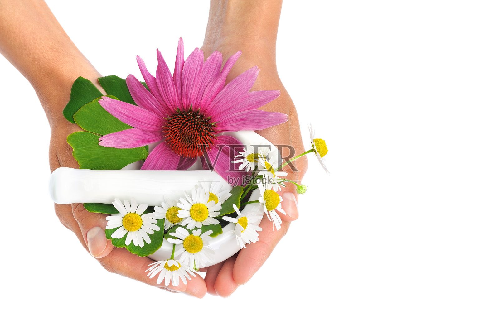 年轻女子手持钵,钵里盛着紫锥菊、银杏、洋甘菊等草药照片摄影图片