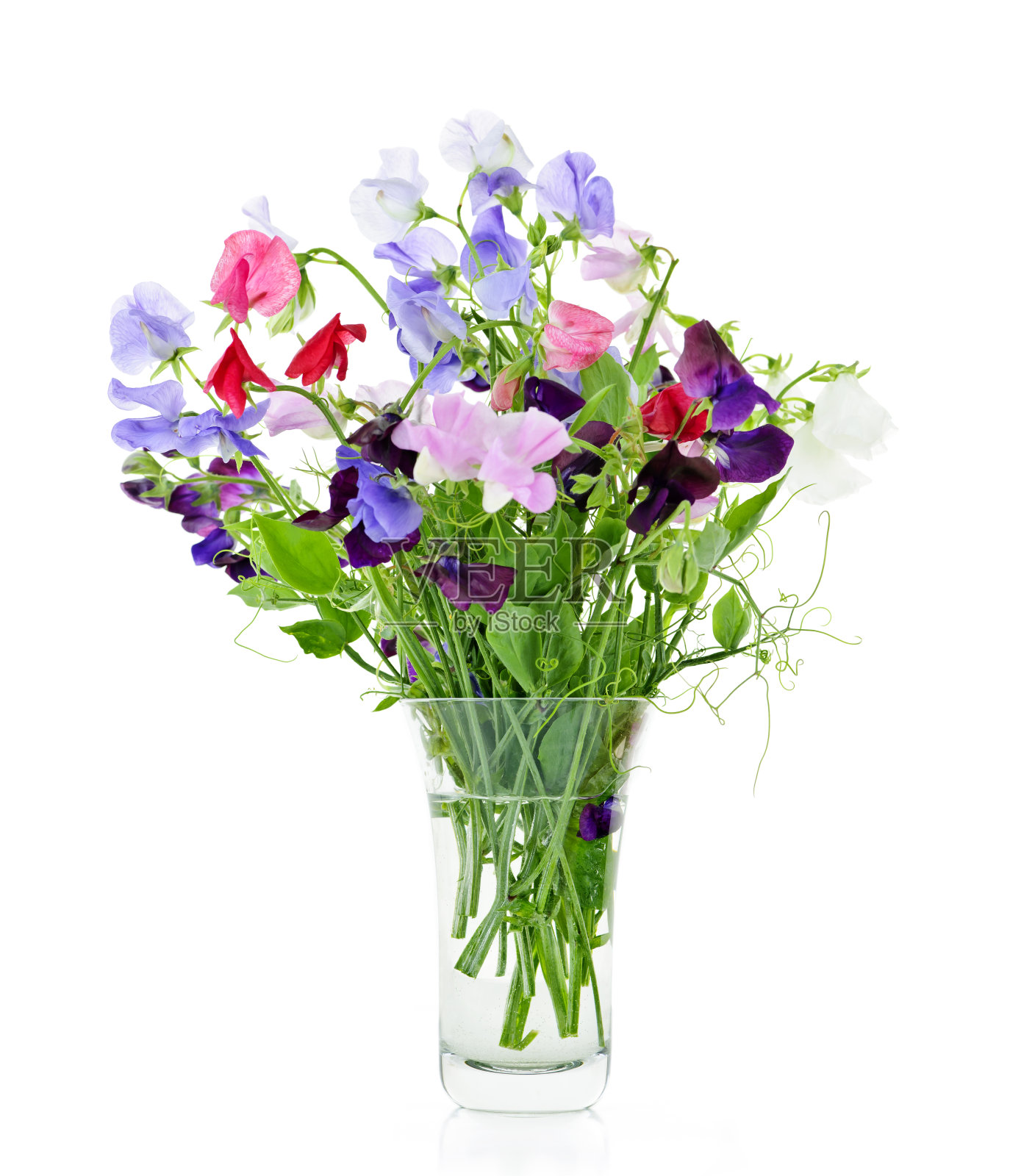 花瓶里放着一束豌豆花照片摄影图片