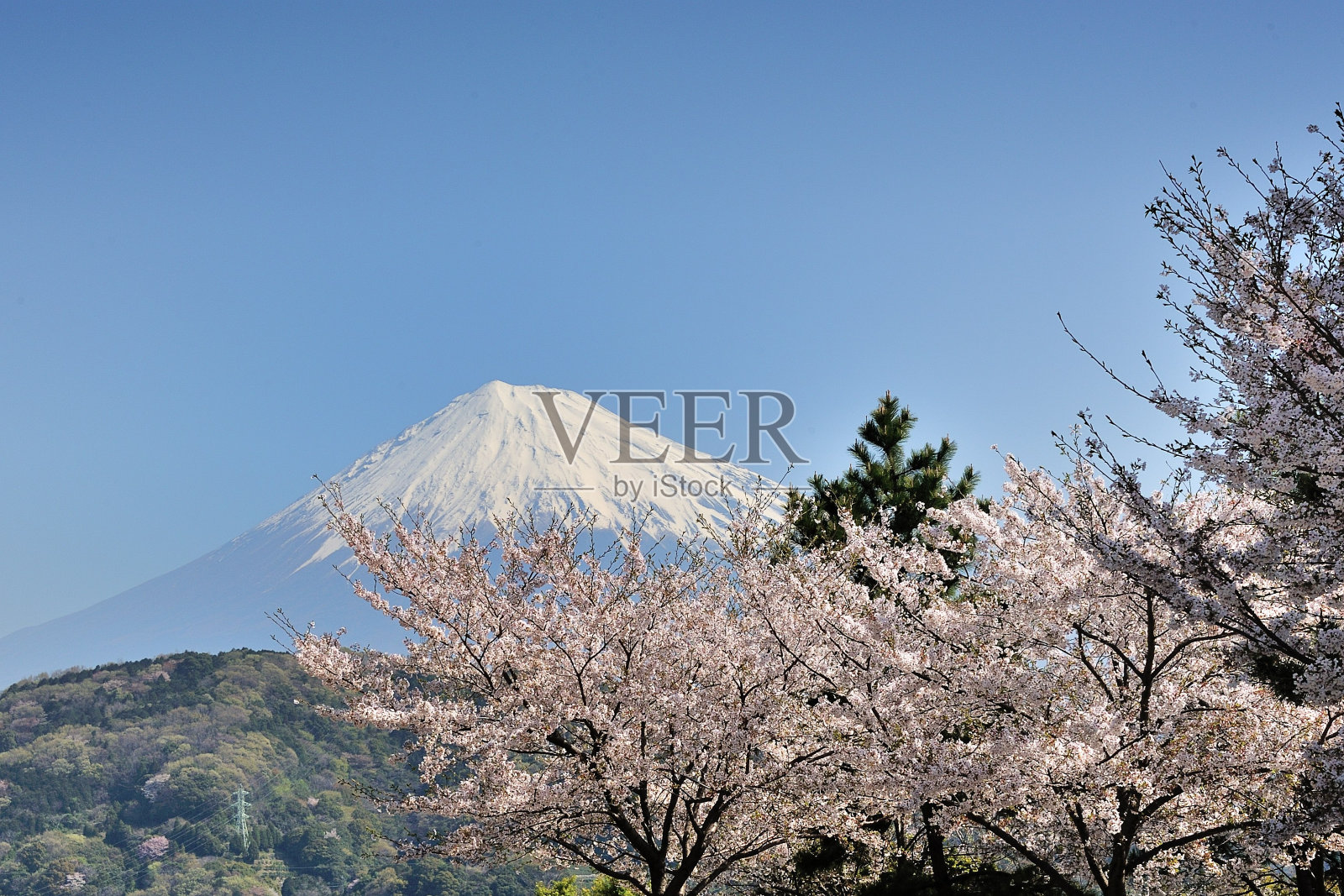 ?????照片摄影图片