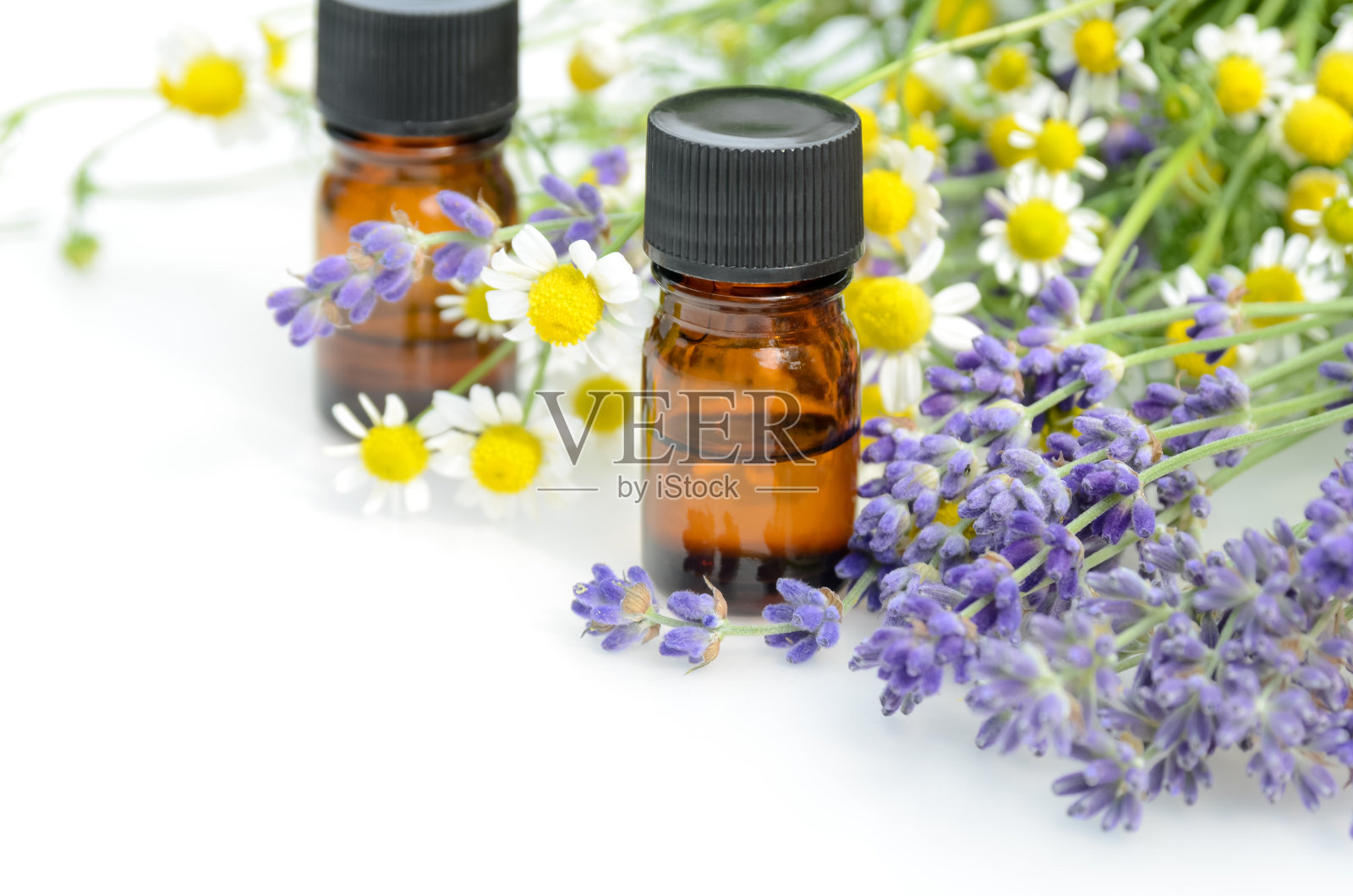 洋甘菊和薰衣草芳香疗法照片摄影图片