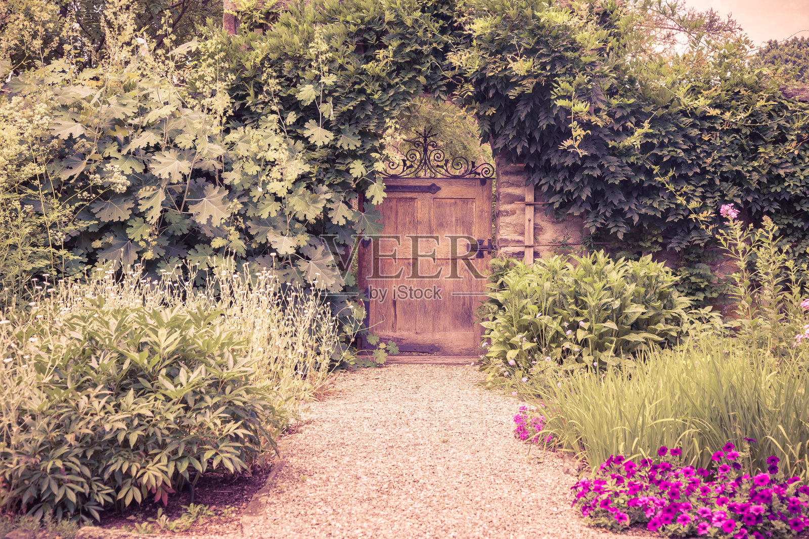 封闭的花园照片摄影图片