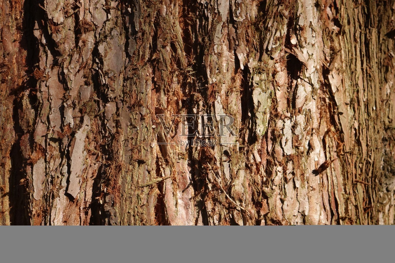 木材结构照片摄影图片