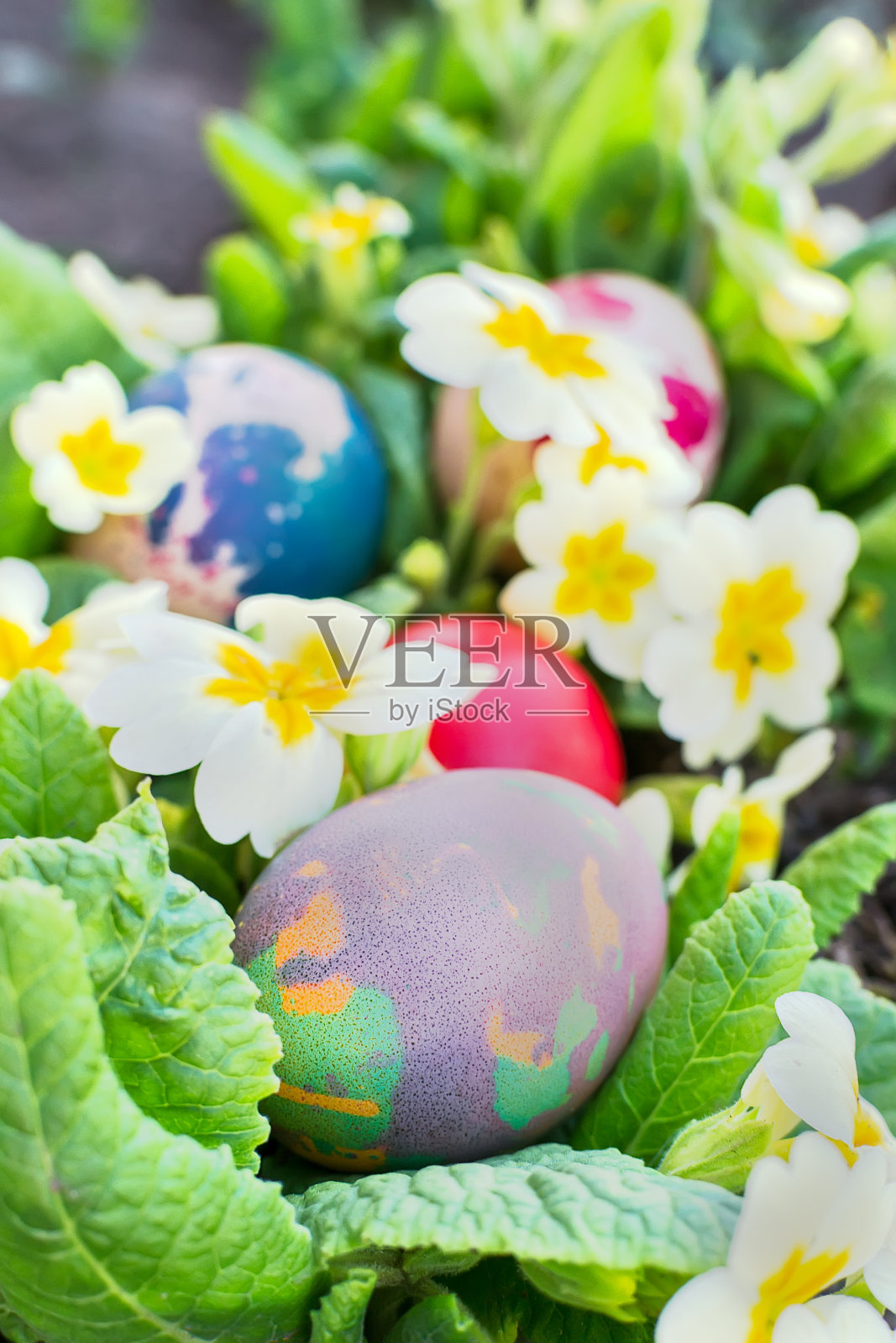色彩斑斓的复活节彩蛋照片摄影图片