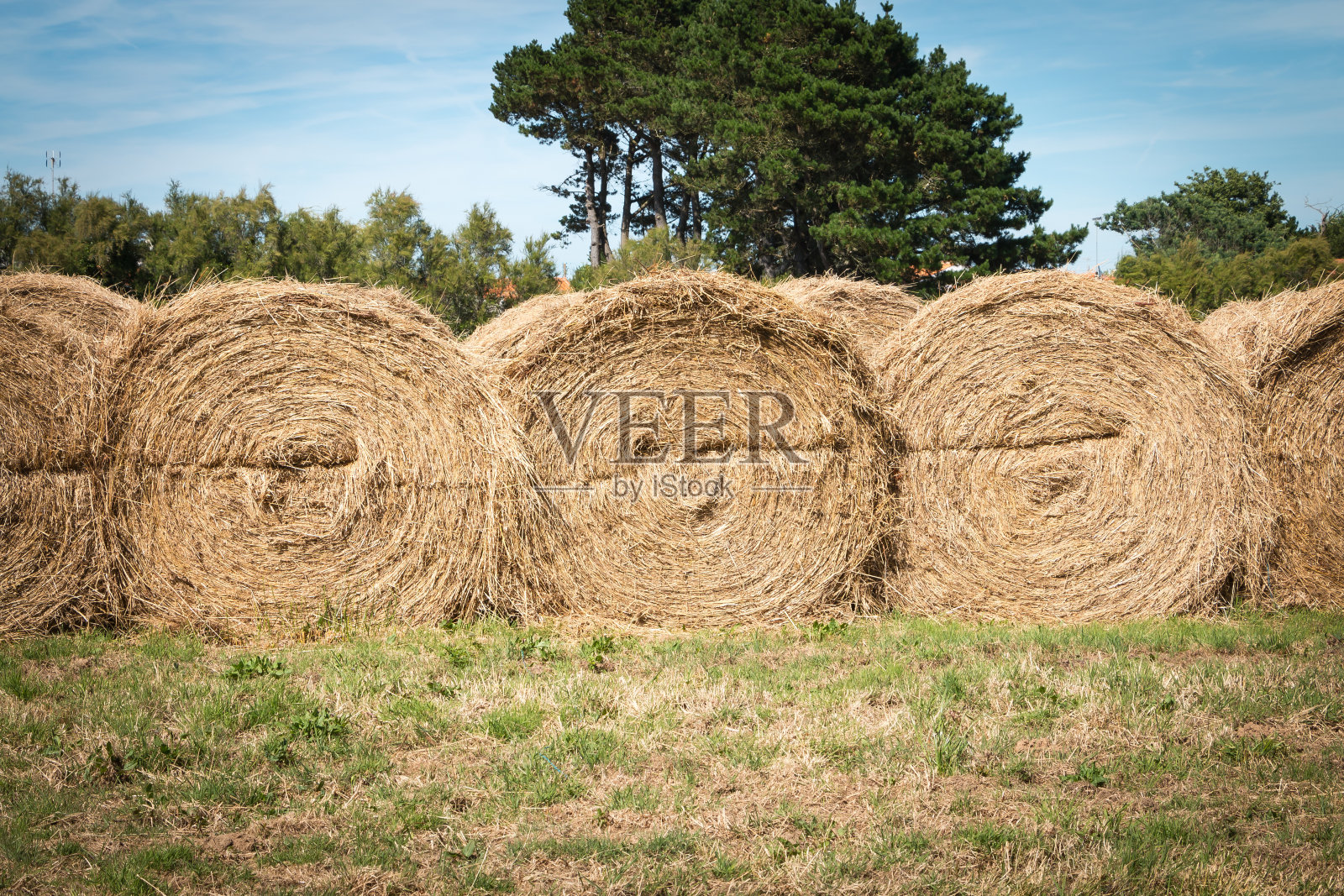 干草堆排成一行照片摄影图片