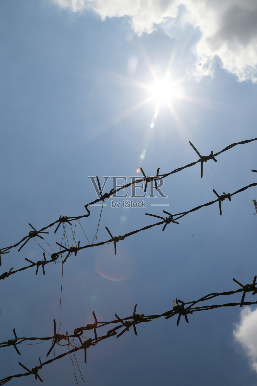 铁丝网背景照片摄影图片