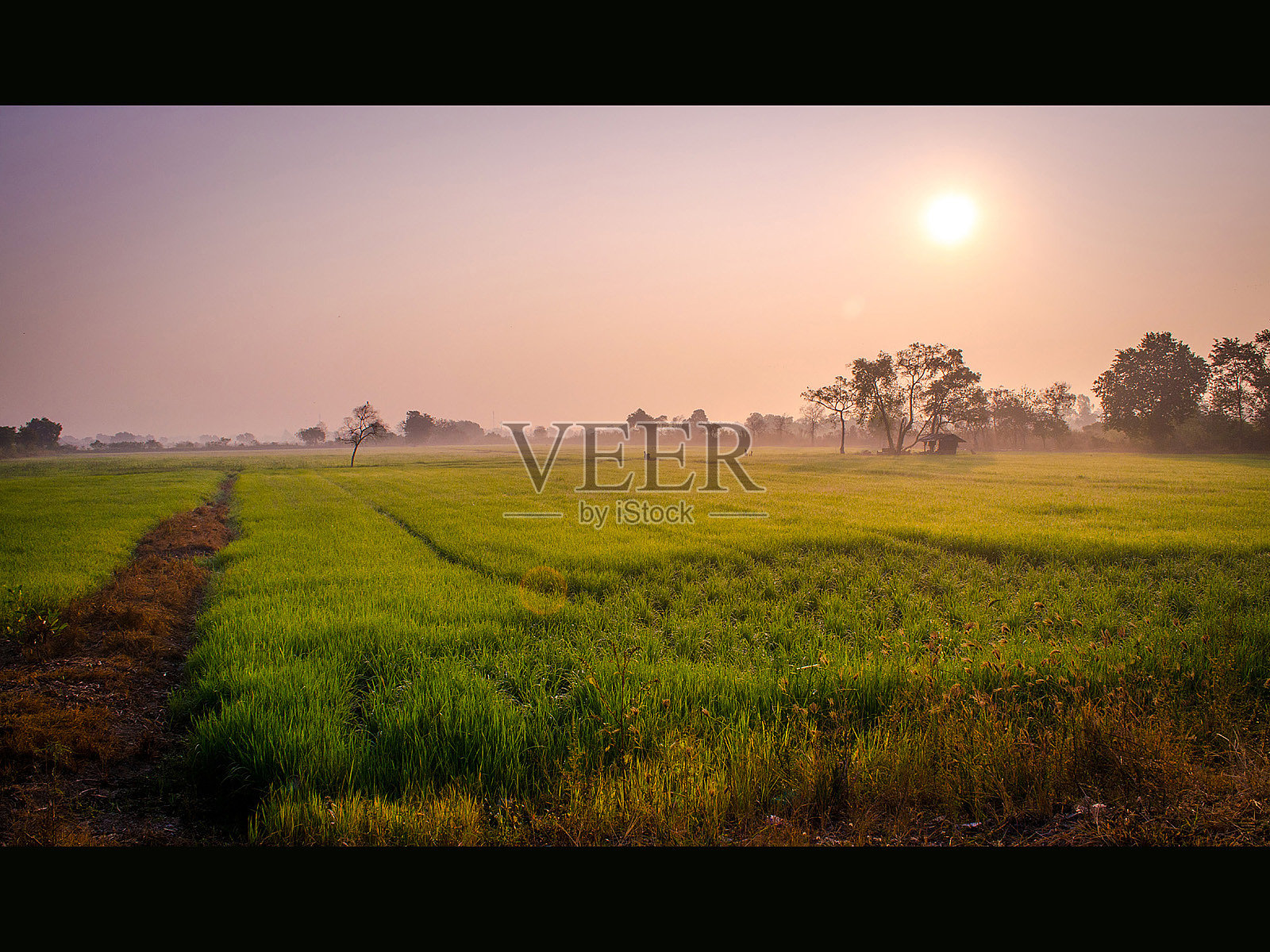 农场附近的阳光照片摄影图片