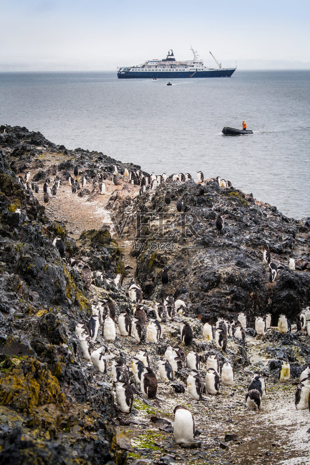 南极的企鹅和船照片摄影图片